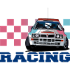 Rally car