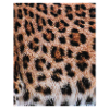Leopard fur