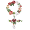 Venus symbol
