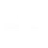 vegan