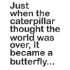 Caterpillar Became Butterfly