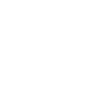 Seehund