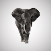 Elefant Poster