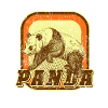 panda