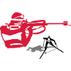 biathlon