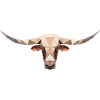 Texas Longhorn