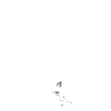 Voilier voilier