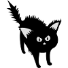 kater