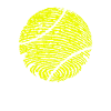 Tennis Ball Tennis DNA