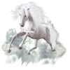 Cheval blanc - cheval blanc