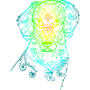 Rainbow Doodle Dog