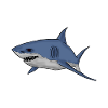 white shark