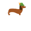 Dog hunter hunting