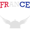 France casque gaulois