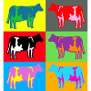 cow cows coloured multicolour