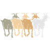 Ziegenherde | Ziegengruppe | Ziegen