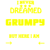 Jeg ville blive en Grumpy Old Man T-shirt, Grumpy T