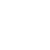 Chameleon animal motif