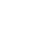 Airplane Pilot