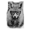 Nerd Fox