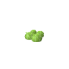 Salad Frequency