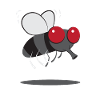 Conception drôle d'insecte mouche domestique