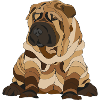 Chinese fold dog Shar pei