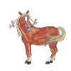 Salva