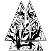 Tiger black white
