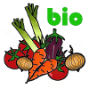 organic vegetables
