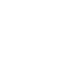 Geometric Butterfly Style