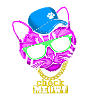 Check Meowt