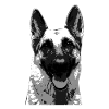 Schäferhund - deutscher Schäferhund Kopf Geschenk