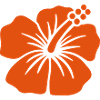 Hibiskus