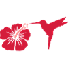 Hibiskus