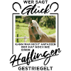 Haflinger Pferd "Glück"
