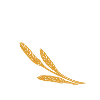 Ährenmann