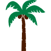 Palm