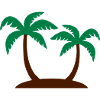 Palm