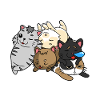 Cats Gang Pack Teens Djur Pack