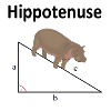 Hippotenuse