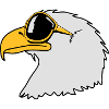 Adler Sonnenbrille Cool Vogel witzig
