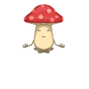 Cadeau méditation champignon