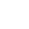 Shopping Queen