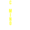 Camino de Santiago Pilgrims