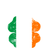 Ireland_grunge