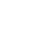 Wheelchair handicap