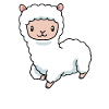 Alpaca baby