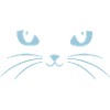 Cat Face With Big Eyes