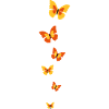 schmetterlinge